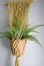 Load image into Gallery viewer, Divination - Wall Plant Hanger - for 4-9&quot; pots
