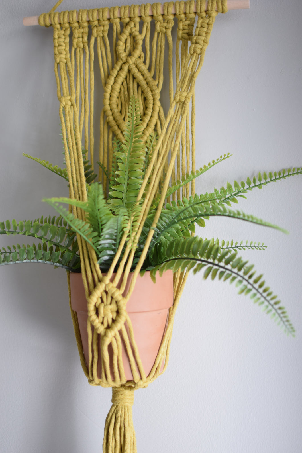 Divination - Wall Plant Hanger - for 4-9