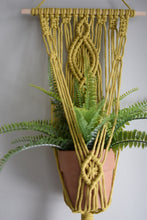 Load image into Gallery viewer, Divination - Wall Plant Hanger - for 4-9&quot; pots

