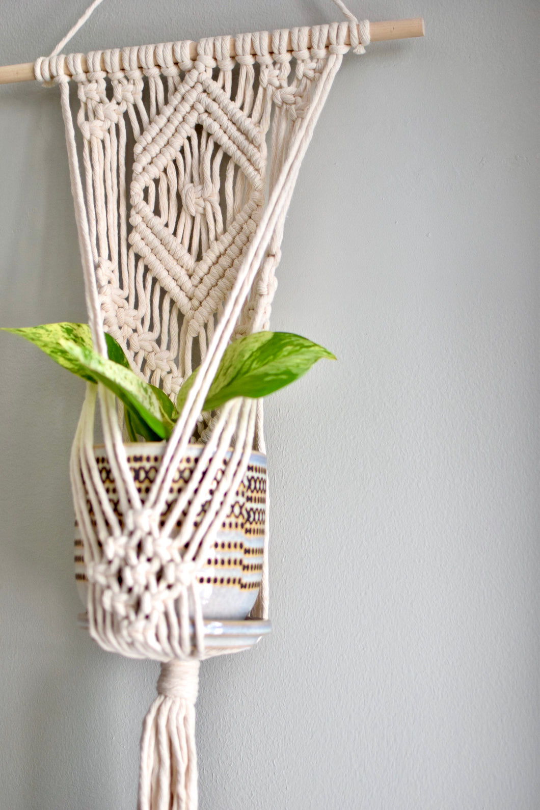 I Got This - Wall Plant Hanger - for 4-6