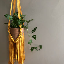Load image into Gallery viewer, &#39;Frayed Knot - Multi-Tiered Plant Hanger
