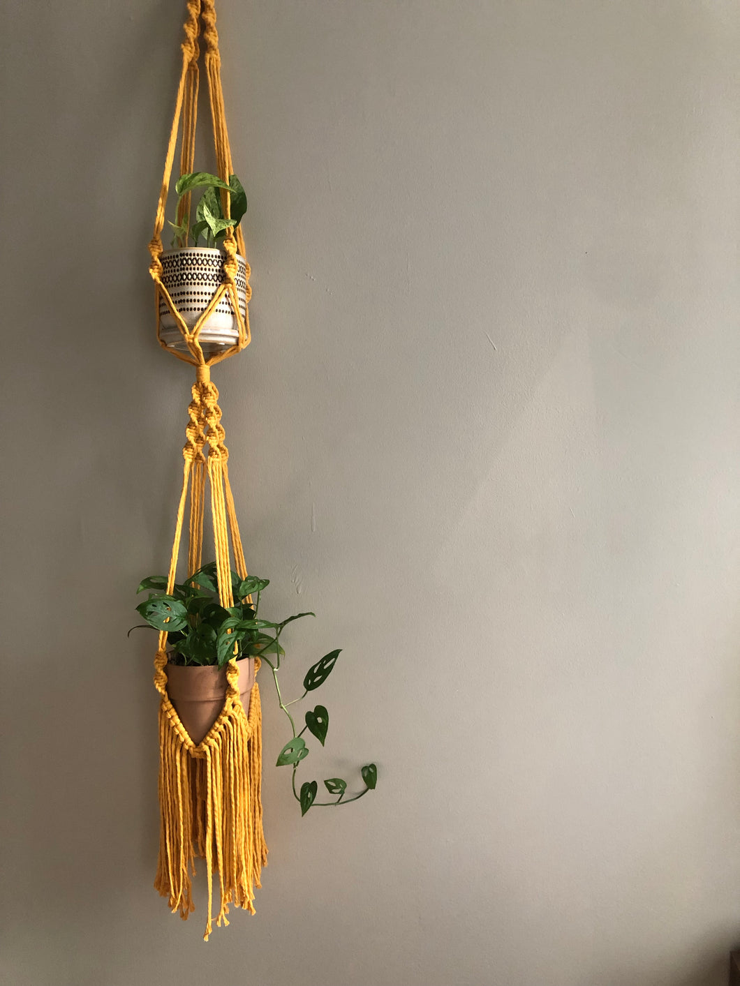 'Frayed Knot - Multi-Tiered Plant Hanger